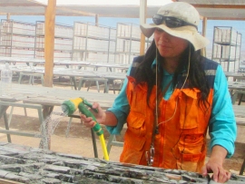 Servicios de Geolog&iacute;a