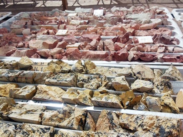 Servicio de Exploraci&oacute;n